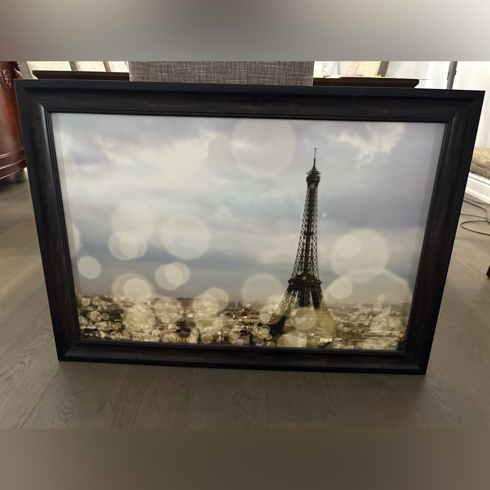Urban Barb Stunning Paris France wall art brand new 41”x29”